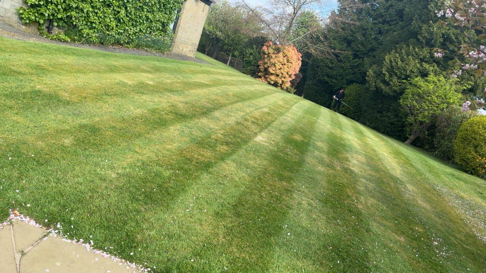 Business Premises Garden Care