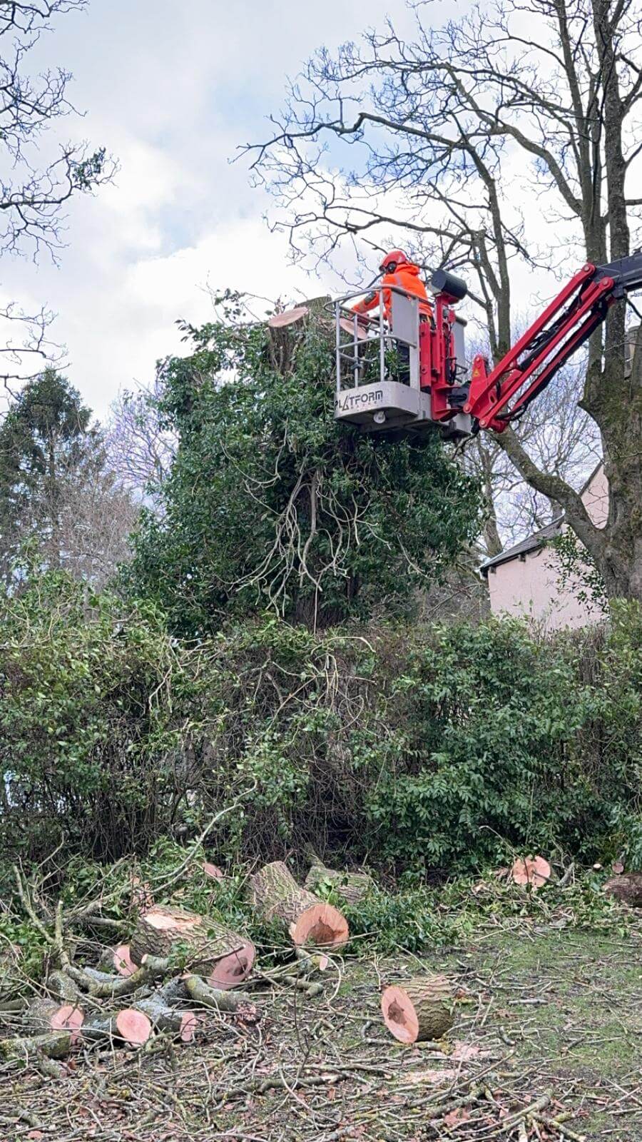 Commercial Garden Design