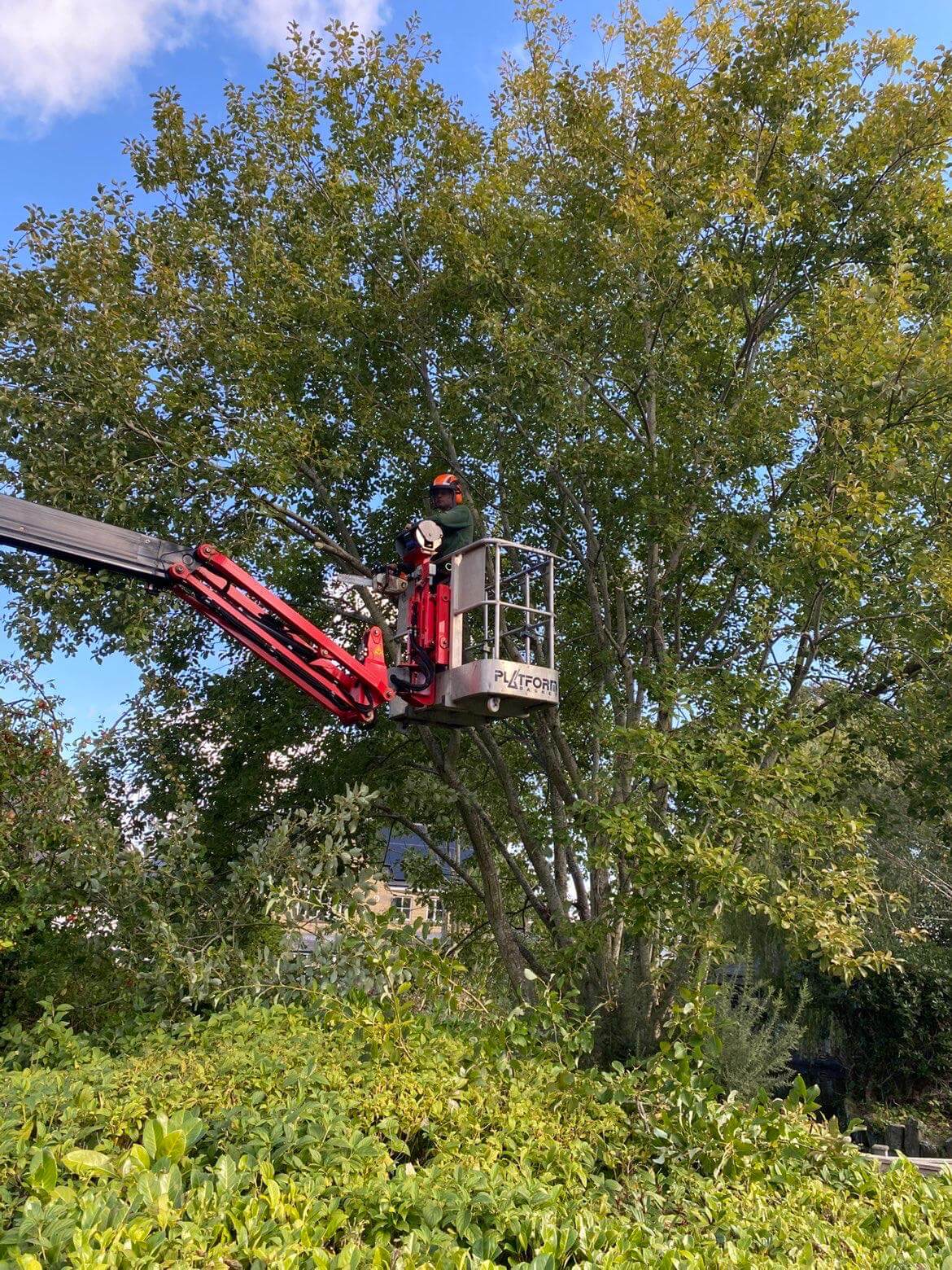 Commercial Garden Maintenance in Bradford