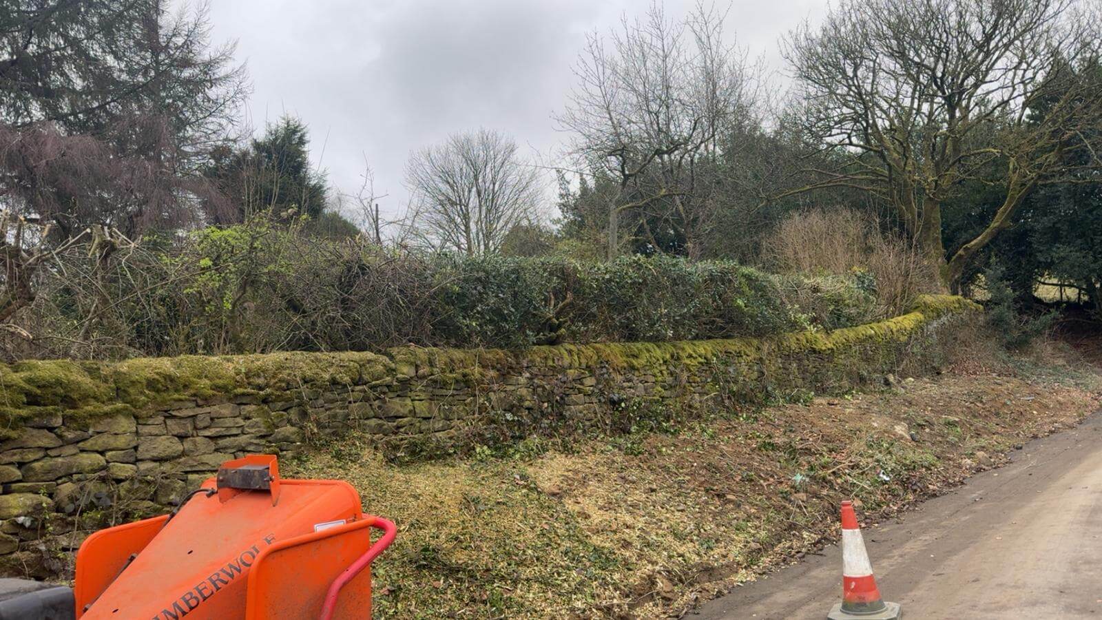 Corporate Garden Maintenance