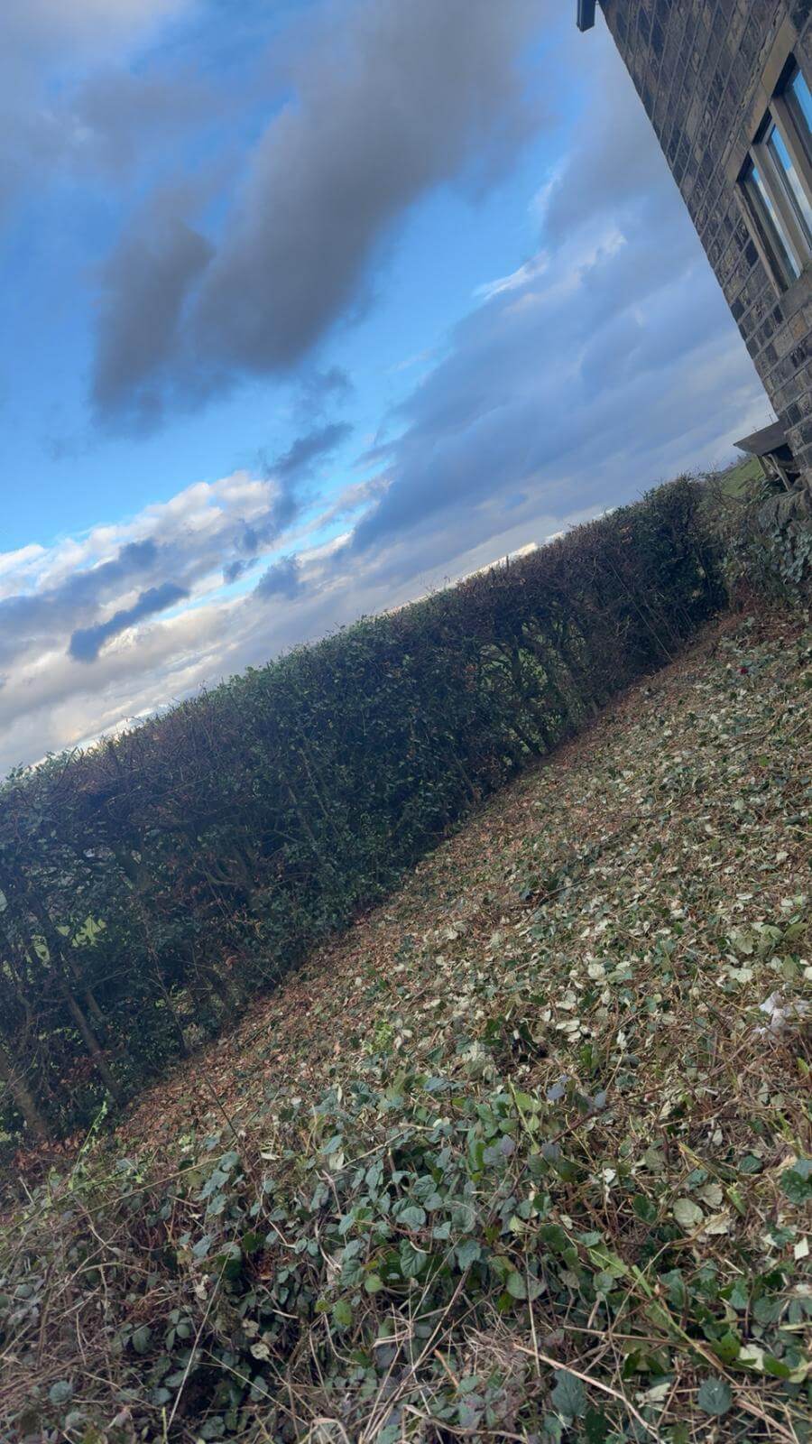 Leeds Commercial Garden Maintenance