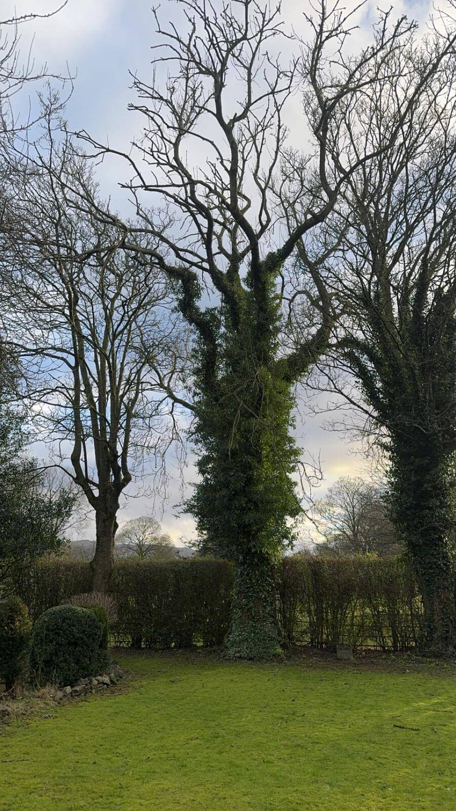 Leeds Office Lawn Care