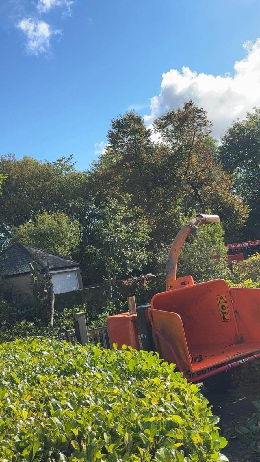 Professional Commercial Garden Services