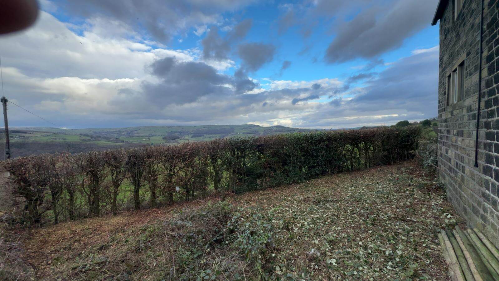 Professional Lawn Care